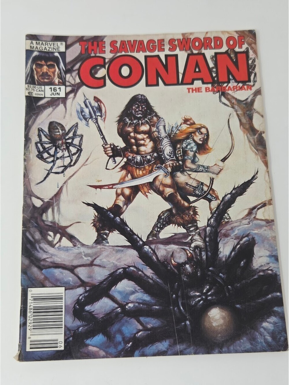 The Savage Sword of Conan #161 (Marvel Comics June 1989)